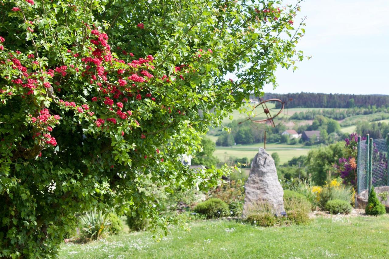 Ferienwohnungen Seebauer Nittenau Bagian luar foto